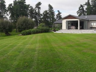 Certificate Of Title Information