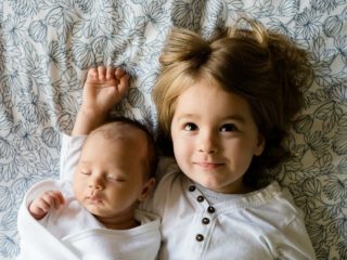 Nzgbc Homefit Online Check